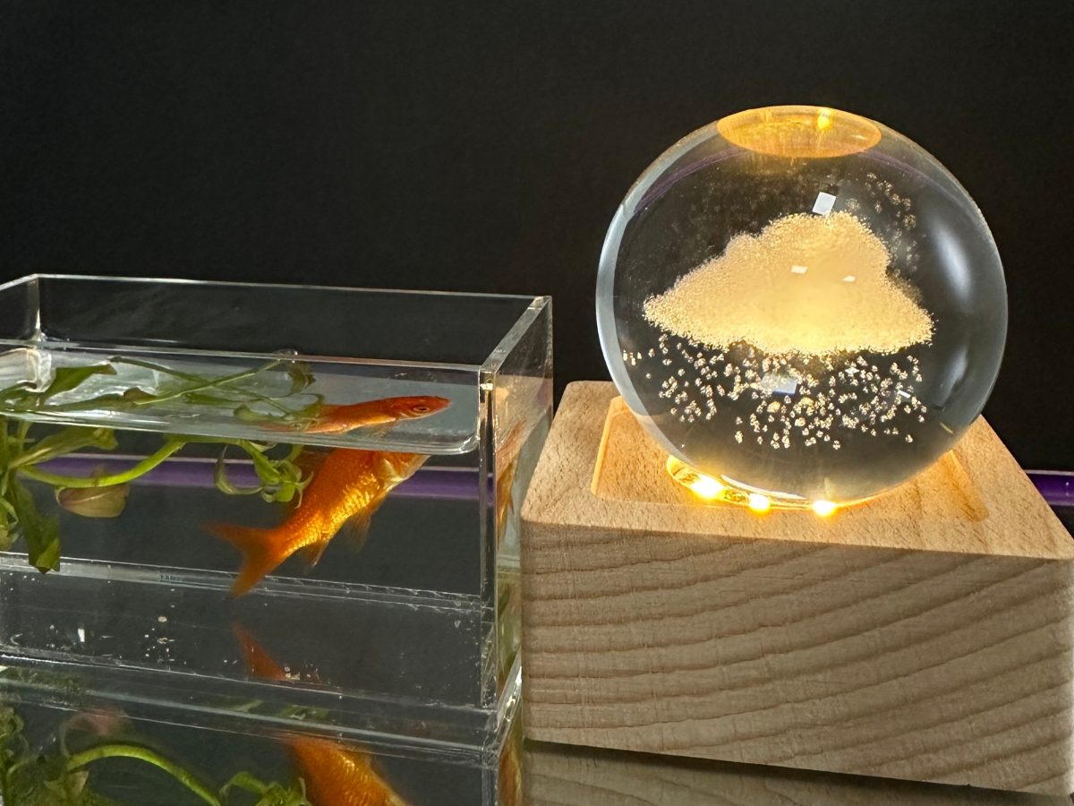 3D portrait engraved inside a K9 crystal cube