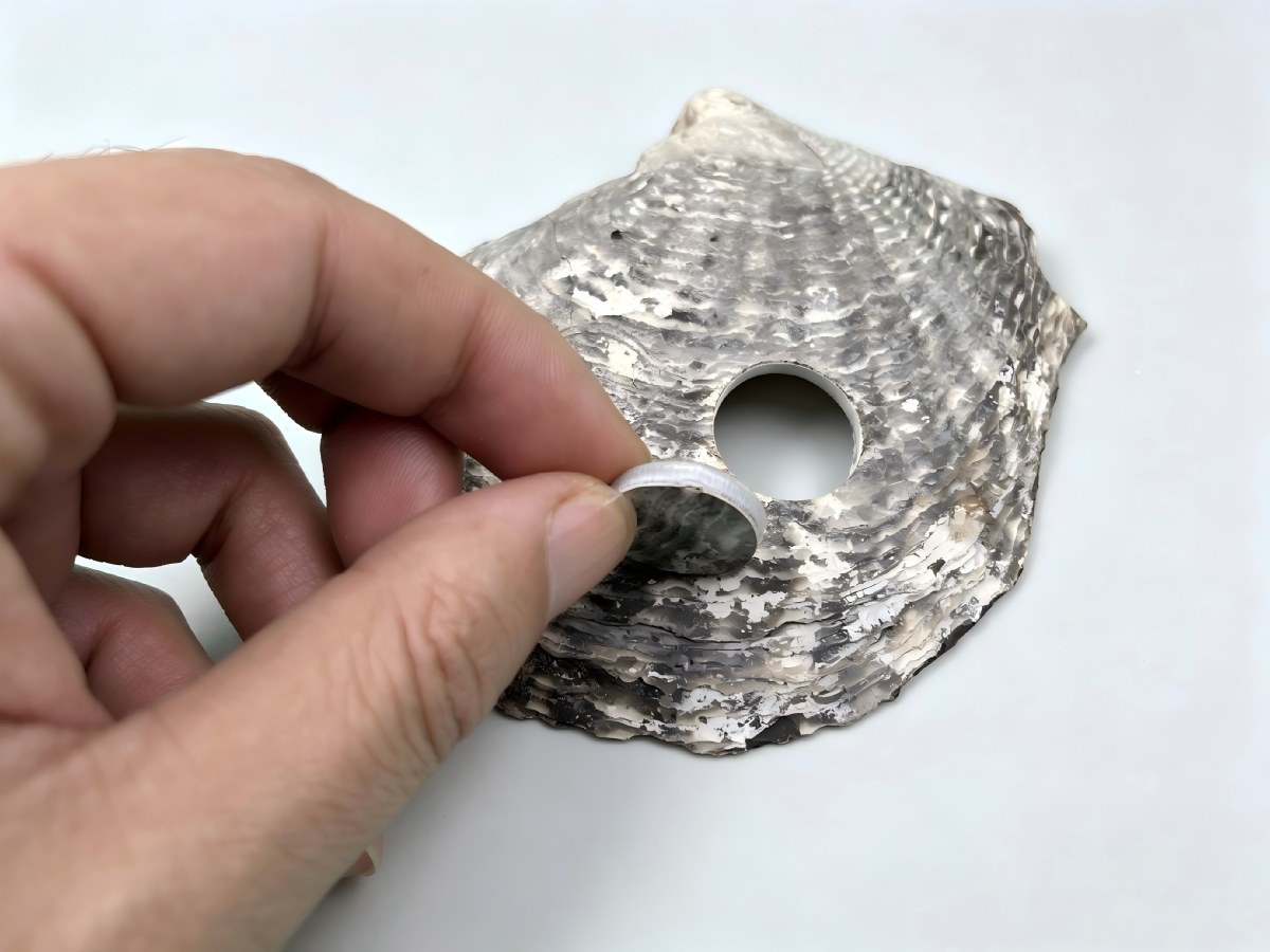 UV laser cut abalone shell inlay pieces
